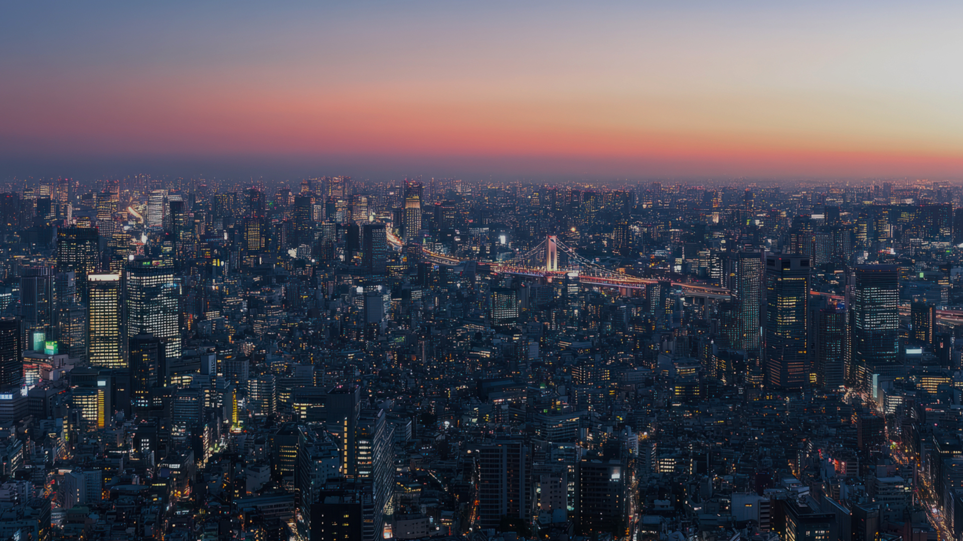 도시 야경 배경